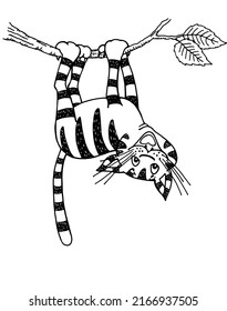 A cat hanging on a tree branch. Sketch of a cute cat in a graphic style. Suitable for illustrating books and printing on a T-shirt.