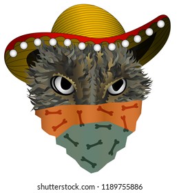 A cat in a hat and bandana. Adapted to the day of the dead in Mexico. Vector.