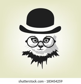 cat in the hat and glasses