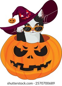 Cat with hat in pumpkin vector