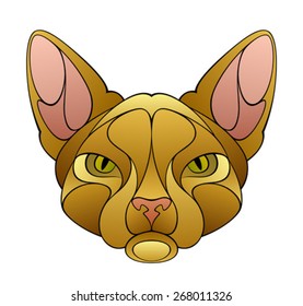 Cat head