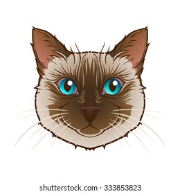 Cat head