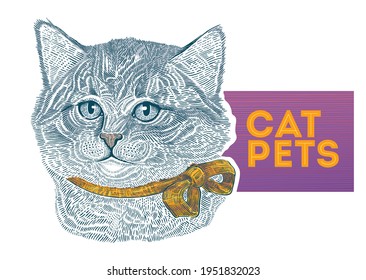 Cat head, drawn in a graphic style.