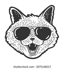 Cat head face in sunglasses sketch engraving vector illustration. T-shirt apparel print design. Scratch board imitation. Black and white hand drawn image.