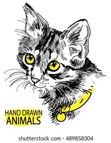 cat head freehand drawing in vintage style. Cute kitten wearing a collar.