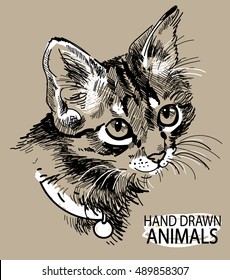 cat head freehand drawing in vintage style. Cute kitten wearing a collar.