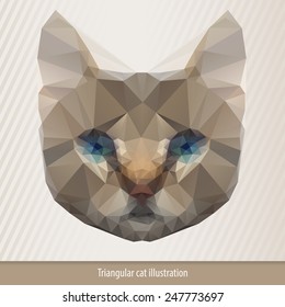 Cat head in geometrical style, vector illustration