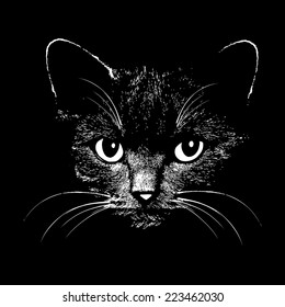 Cat head graphic design vector animal illustration for t-shirt. Sketch tattoo design.