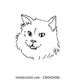 Cat Head Hand Drawn Sketch Vector Stock Vector (Royalty Free ...