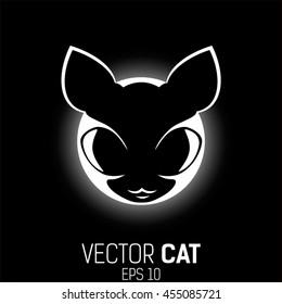 cat head illuminated by light from behind