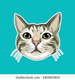 Cat head illustration with pastel background color