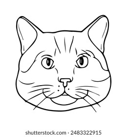 cat head line vector illustration,isolated on white background,top view