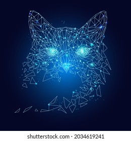 Cat head made of polygonal lines and dots. Polygonal mosaic. Blue cat head full face isolated from background. Vector illustration.