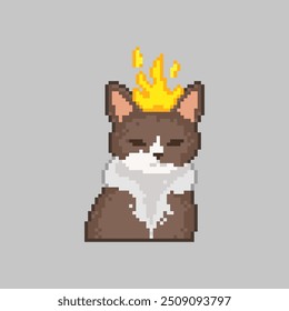 Gato com cabeça em chamas, pixel art meme