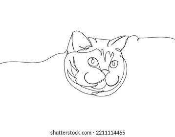 Cat head one line art. Continuous line drawing of pet, mammal, kitten, purebred, breed, friendship, kitty, friend, pedigree, character.