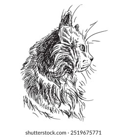 cabeça de gato, animais de estimação, gato preto, amigo, vetor gato preto, ilustração vetorial, silhueta de gato isolado no fundo branco, eps, vetor