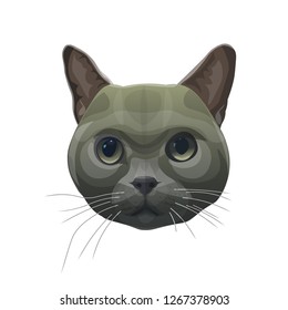 Cat head portrait. Vector illustration isolated on white background