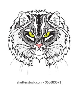 cat head, a stylized image, vector illustration