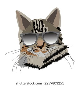 Cat Head with Sun Glasses