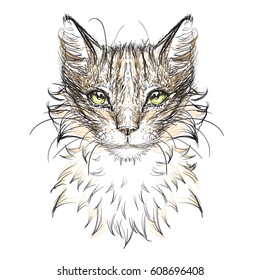 cat head vector