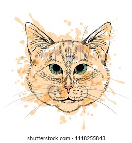 Cat head, vector, black lines