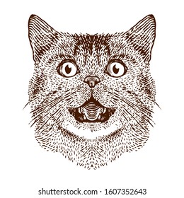 Cat head vector engraving illustration