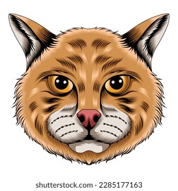cat head vector illustration in detailed style