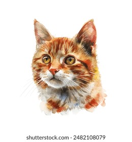 cat head vector illustration in watercolour style