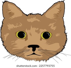 cat head vector image. can be used for anything