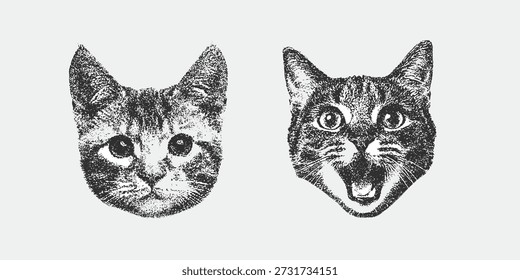 Cat head  in witch hat with collage element with retro grainy texture, black and white sketch depicts the faces of two adorable fluffy dogs facing forward