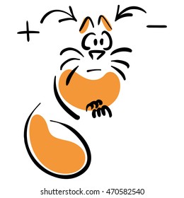 Cat hears the plus and minus