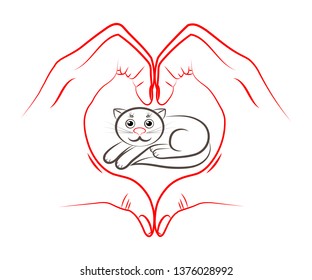 Cat in the heart. Hands in the shape of a heart aimed at the cat. Vector illustration.
