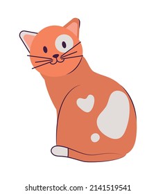 cat with hearts over white