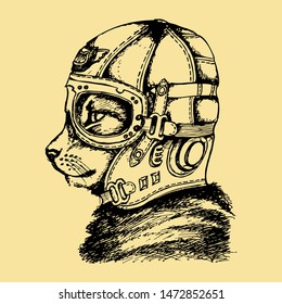 Cat in a helmet of the pilot. Sketch. Vector illustration