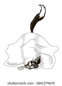 El gato se esconde bajo una manta, su rostro, una pata y una cola se escapan. El dibujo está realizado en blanco y negro, aislado sobre un fondo blanco. Ilustración vectorial de material.