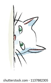 cat hiding behind a wall