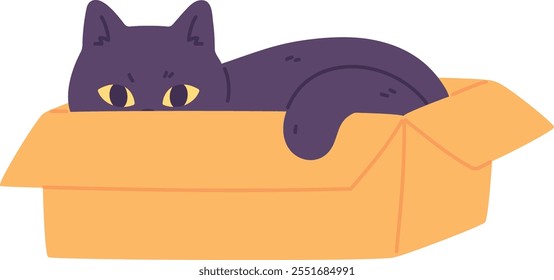 Cat hiding in box. Black cute kitten character isolated on white background