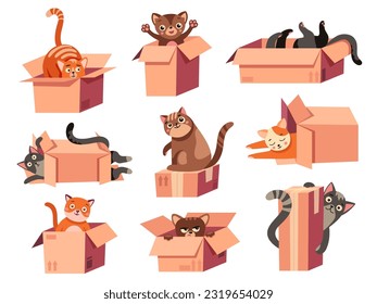 Cat hiding in box. Cartoon cute domestic animal hides in cardboard package, funny kitten playing with cardboard box and toys. Vector isolated set of pet animal in cartoon box illustration