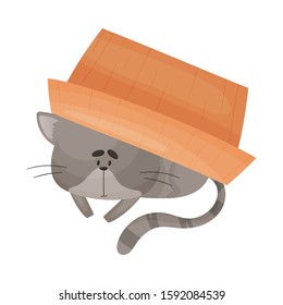 Cat Hiding Under Cardboard Box and Peeped Out From it Vector Illustration