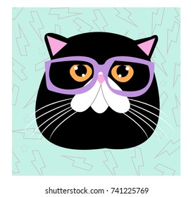 cat hipster