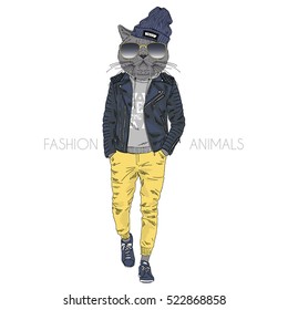 cat hipster dressed up in leather jacket, furry art illustration, fashion animals, hipster animals