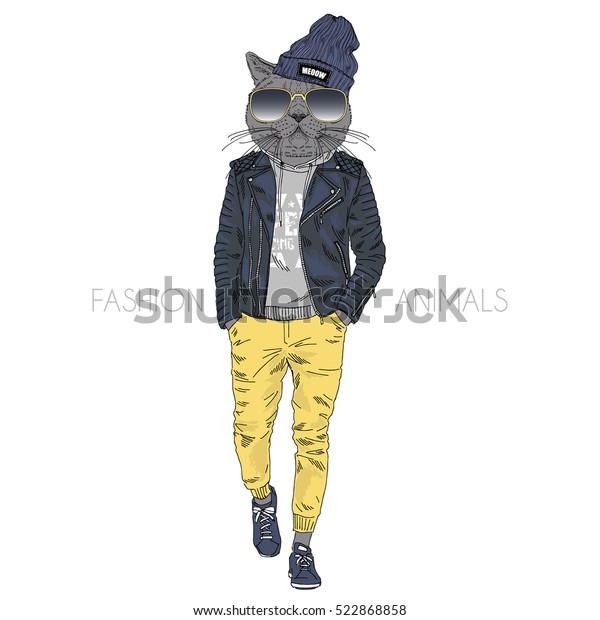 leather jacket cat