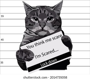 cat holding board , bad cat not scaring