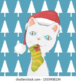 Cat holding socks for Christmas.The background is a Christmas tree wallpaper.For christmas day