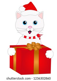 Cat holds in his paws New Year's gift