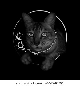 Cat with a hole in the head. Illustration on black background.