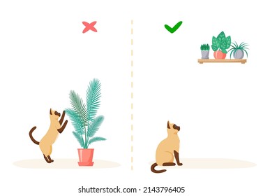 Plantas para el gato y el hogar. Formas equivocadas y correctas de mantener a las plantas en casa con mascota. Un gato siamés travieso come flores en macetas. Ilustración vectorial de estilo plano 