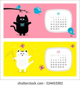 Cat horizontal calendar 2017. Cute funny cartoon character set. May June spring month. Photo camera, blue bird, branch, pink butterfly insect, net. Dash line track. Flat design. Vector