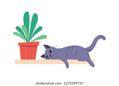 cat with houseplant icon isolated