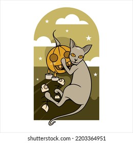 Cat hugging a pumpkin suitable for decoration, background, sticker. Happy halloween. 